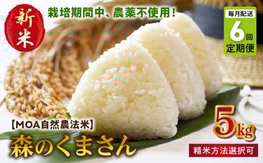 T6-70-270_5　【定期便6回】＼先行予約☆新米☆／カワノ農園　玄米5kg「森のくまさん」MOA自然農法米 【定期便6回】玄米5kg「森のくまさん」MOA自然農法米