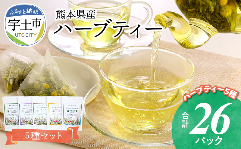 42-15熊本県産農薬不使用ハーブティー　５種セット