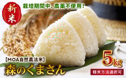 70-270_5　＼先行予約☆新米☆／カワノ農園　玄米5kg「森のくまさん」MOA自然農法米 玄米5kg「森のくまさん」MOA自然農法米