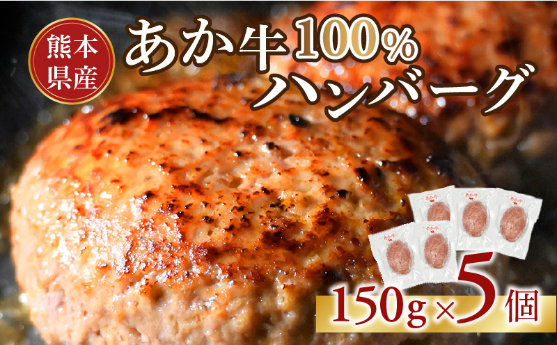 117-48　オアシス九州　熊本県産あか牛ハンバーグ150ｇ×5個
