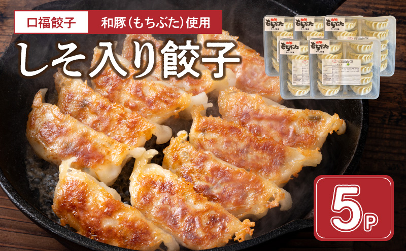 119-2 口福餃子「和（もち）豚」使用　しそ入り餃子（冷凍生）