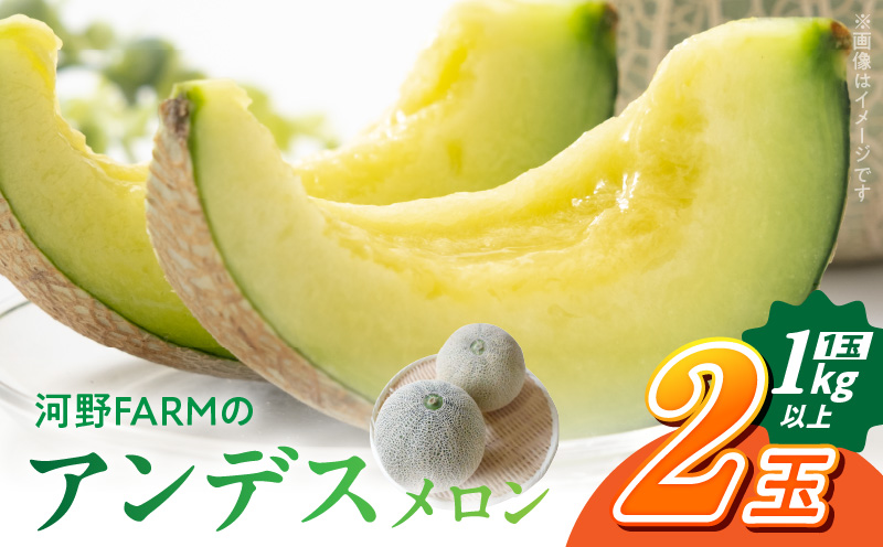 143-1　河野FARM アンデスメロン2玉
