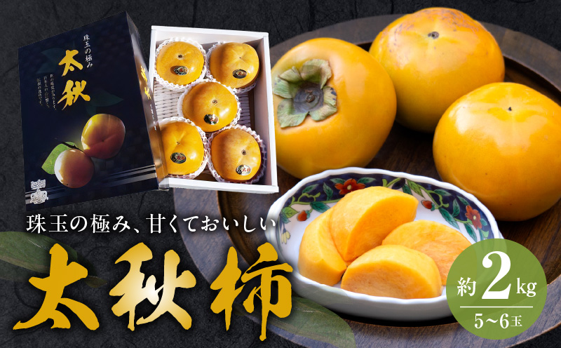 えのしまファーム 太秋柿 約2kg(5〜6玉)