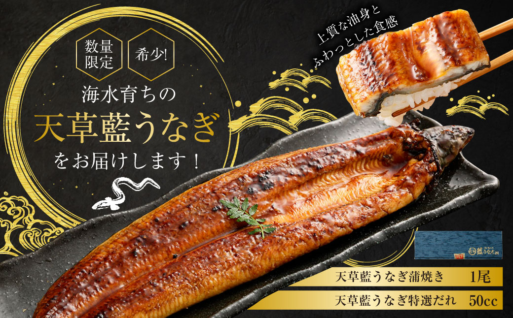 【ミシュラン星付きのプロが愛用】1日10セット限定！海水育ちの天草藍うなぎ 蒲焼き 1尾セット【合計約200g】 数量限定!! 鰻 ウナギ うなぎ うなぎ蒲焼 鰻の蒲焼 うなぎ 国産