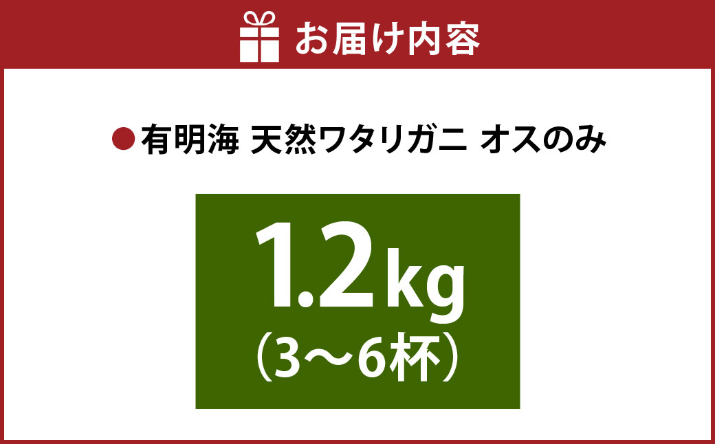 天草産 天然ワタリガニ オスのみ 1.2kg 3～6杯 ワタリガニ 渡り蟹 蟹 かに カニ 冷凍 熊本県 上天草市