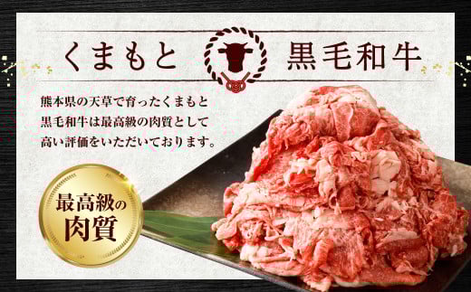 くまもと黒毛和牛 切り落とし 1kg（500g×2パック）