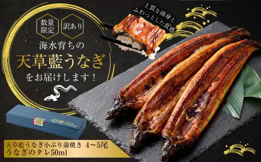 【数量限定】 【訳あり】 【ミシュラン星付きのプロが愛用】海水育ちの 天草 藍うなぎ 小ぶり 蒲焼 500g（4～5尾） 養殖期間中 無投薬 鰻 ウナギ うなぎ うなぎ蒲焼 鰻の蒲焼 国産