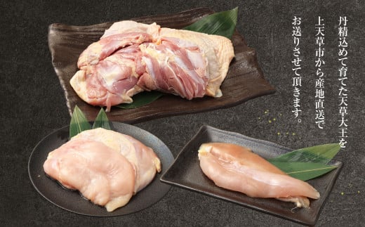 天草大王精肉セット（モモ、ムネ、ササミ） 約1.5kg×3セット 計約4.5kg 天草大王 モモ ムネ ササミ