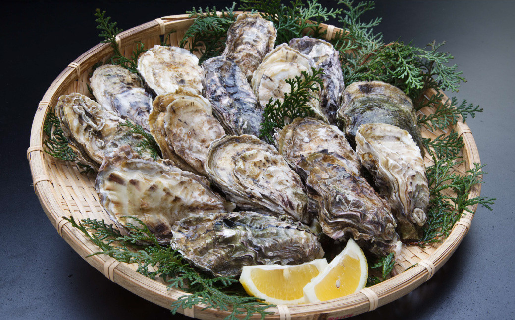 活き天草真牡蠣 10個 （加熱用） と 地牡蠣 16個 （加熱用） セット