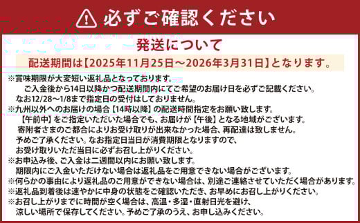 【配送指定日必須】天草産 活車海老 250g 大サイズ【発送期間2025年11月25日から2026年3月31日】