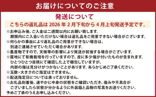 特別栽培パール柑(天草文旦) 9kg サイズミックス