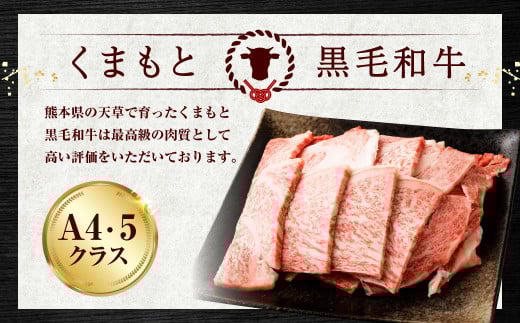 くまもと黒毛和牛 焼肉用 ロース・カルビ 切り落とし 500g