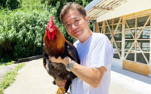 上田アニのクリームシチュー5箱セット