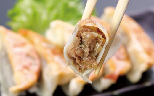 熊本和牛あか牛ぎょうざ60個（あか牛ぎょうざ20個入り×3箱）計60個 あか牛 餃子 ぎょうざ 焼餃子 牛肉 お肉 肉 褐牛 褐毛和種 和牛 国産牛 熊本県 上天草市 冷凍