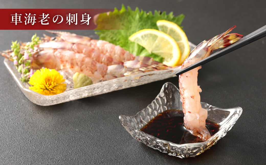 ｢極｣ 原点の車海老 ｢急速冷凍｣ 900g (22～25尾) 特大サイズ【2025年11月下旬より順次発送予定】