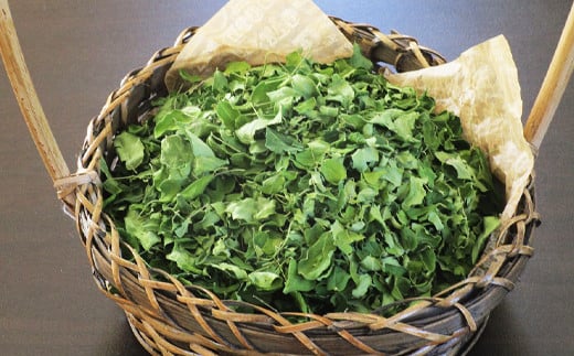 モリンガ茶〈2パック〉セット(熊本県天草産100%)