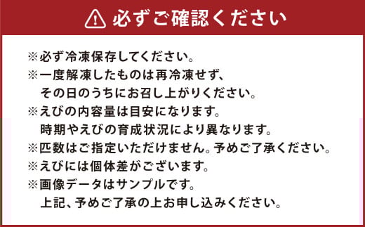 森さん家の冷凍車えび 活き〆冷凍車海老500g