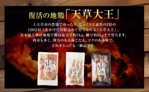 天草大王プレミアムバーべキューセット(大)