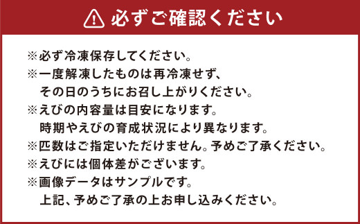 森さん家の冷凍車えび 活き〆冷凍車海老250g