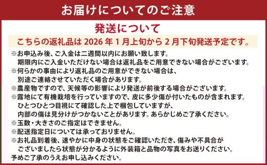 特別栽培 ポンカン 10kg サイズ ミックス 柑橘