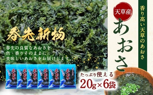 天草産あおさ（乾燥）20g×6袋 計120g あおさ 海藻 のり 海苔 乾燥 アオサ お吸い物 味噌汁 熊本県 上天草市