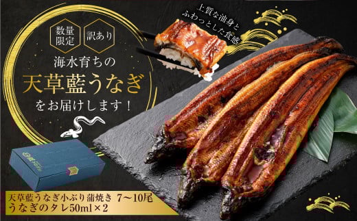 【数量限定】 【訳あり】 【ミシュラン星付きのプロが愛用】海水育ちの 天草 藍うなぎ 小ぶり 蒲焼 1kg（7～10尾） 養殖期間中 無投薬 鰻 ウナギ うなぎ うなぎ蒲焼 鰻の蒲焼 国産