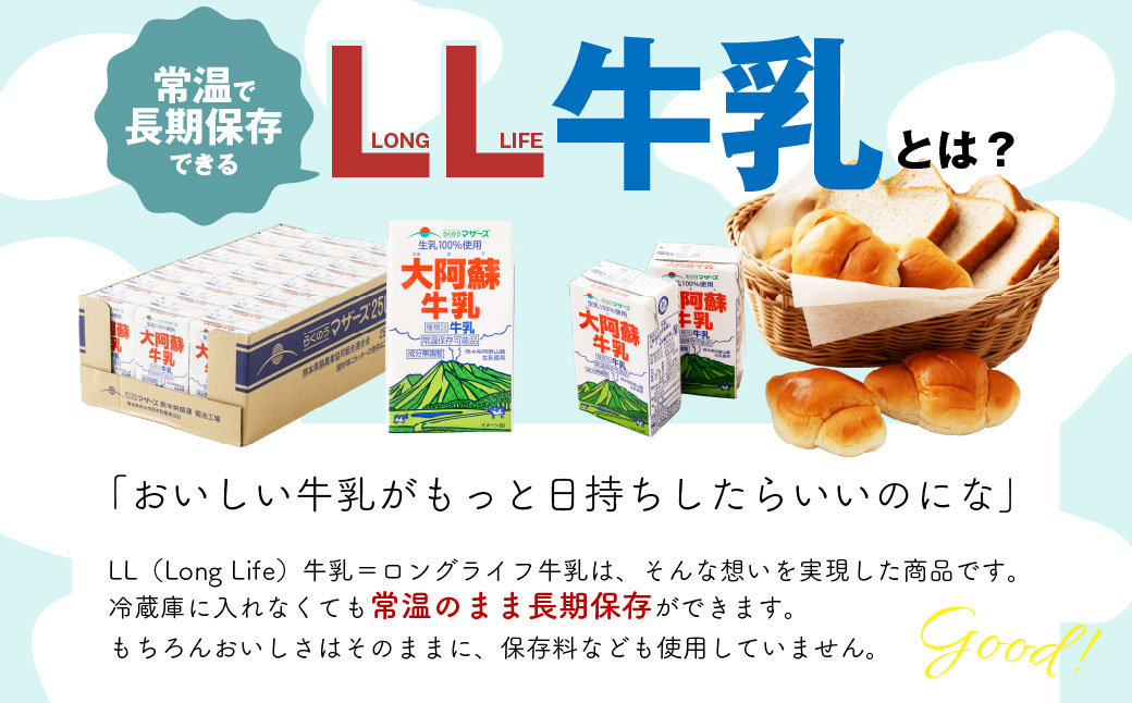 大阿蘇牛乳 250ml×24個入（1箱） 牛乳 ミルク 成分無調整 紙パック パック ロングライフ 長期保存 常温 熊本県 上天草市