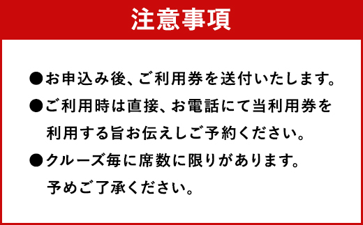 イルカウォッチング