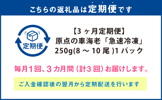 【3ヶ月定期便】原点の車海老「急速冷凍」250g（8～10尾）1パック 合計750g 車海老 車えび くるまえび 急速冷凍 新鮮 お刺身 天ぷら 塩焼き 熊本県産
