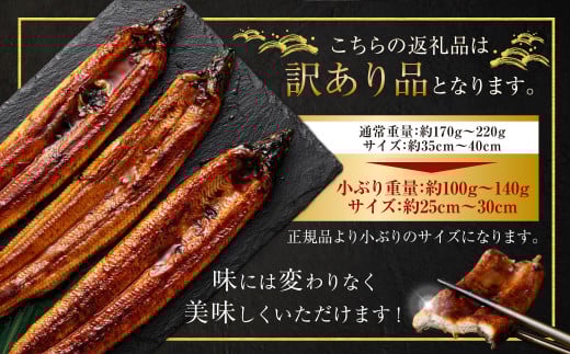 【数量限定】 【訳あり】 【ミシュラン星付きのプロが愛用】海水育ちの 天草 藍うなぎ 小ぶり 蒲焼 500g（4～5尾） 養殖期間中 無投薬 鰻 ウナギ うなぎ うなぎ蒲焼 鰻の蒲焼 国産