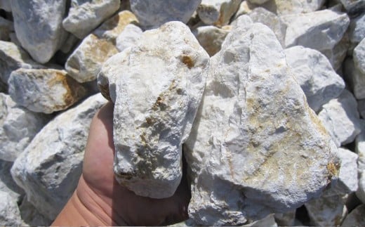 【15個口】庭石、ごろた石 あまくさ石灰石中粒（90mm～150mm） 約20kg土嚢袋入り 合計約300kg 天草石 中粒 石灰石 ホワイト 白 石 天然石 庭 熊本県 上天草市