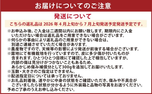 特別栽培河内晩柑 7kg サイズミックス