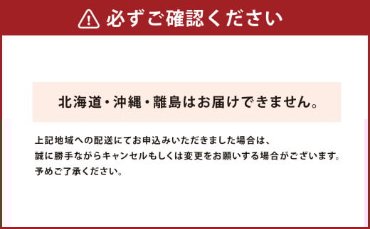 【配送指定日必須】天草産 活車海老 500g 大サイズ【発送期間2025年11月25日から2026年3月31日】