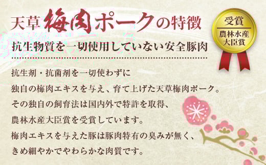 （飼育期間中）完全無薬！梅肉エキス肥育 梅肉ポークモモしゃぶセット 750g（250g×3パック）しゃぶしゃぶ 豚しゃぶ すき焼き もも モモ肉 豚肉 肉 お肉 豚肉 豚 小分け 冷凍 熊本県 上天草市