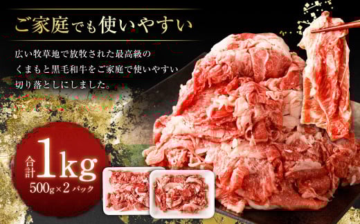 くまもと黒毛和牛 切り落とし 1kg（500g×2パック）