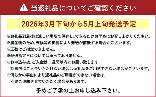 上天草市産 不知火（しらぬい）