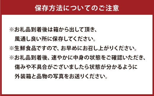 特別栽培 スイートスプリング 10kg