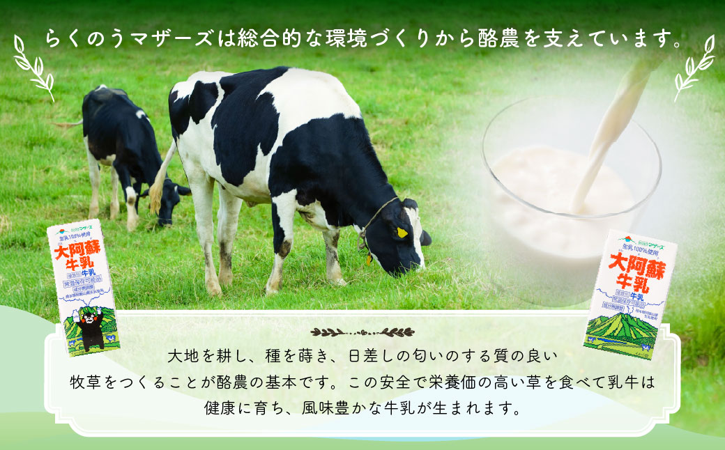 大阿蘇牛乳 250ml×24個入（1箱） 牛乳 ミルク 成分無調整 紙パック パック ロングライフ 長期保存 常温 熊本県 上天草市