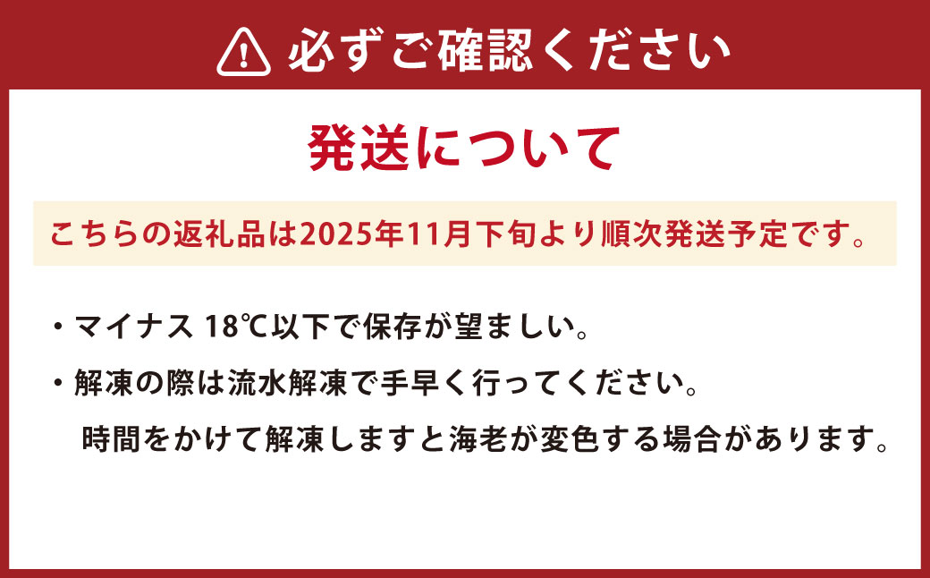 【2025年12月16日迄に入金確認で年内発送】天草産 活〆冷凍 車海老 500g（特大） 12～14尾 車えび 車エビ えび 海老 エビ 冷凍 国産 熊本県 上天草市【2025年11月下旬発送開始】