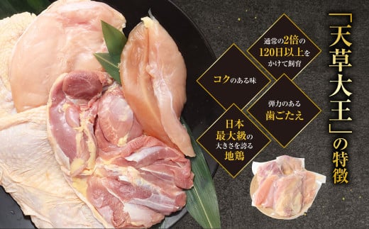 天草大王精肉セット（モモ、ムネ、ササミ） 約1.5kg×3セット 計約4.5kg 天草大王 モモ ムネ ササミ