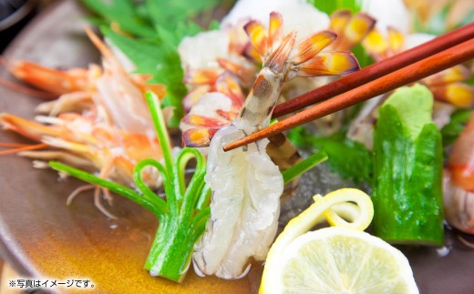 天草産活〆冷凍車海老