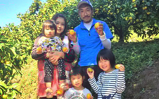 特別栽培みかん　10kg サイズミックス