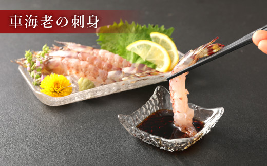 【3ヶ月定期便】原点の車海老「急速冷凍」250g（8～10尾）1パック 合計750g 車海老 車えび くるまえび 急速冷凍 新鮮 お刺身 天ぷら 塩焼き 熊本県産