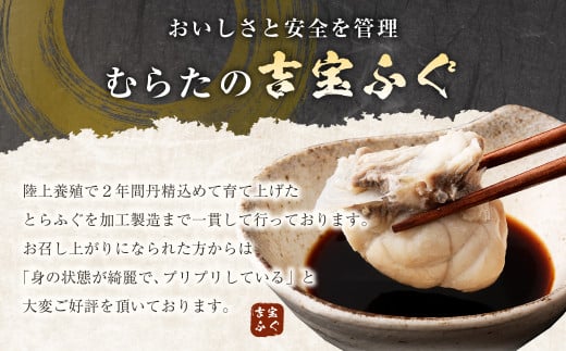 【3ヶ月定期便】とらふぐ「鍋」セット 吉宝ふぐ『焼きひれ/特製ポン酢/もみじおろし付き』ふぐ 河豚 フグ とらふぐ トラフグ 鍋 ふぐ鍋 熊本県 上天草市