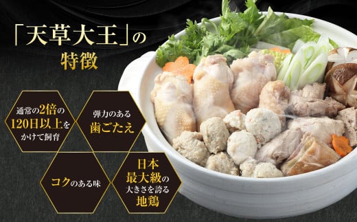 天草大王まんぷく鍋セット