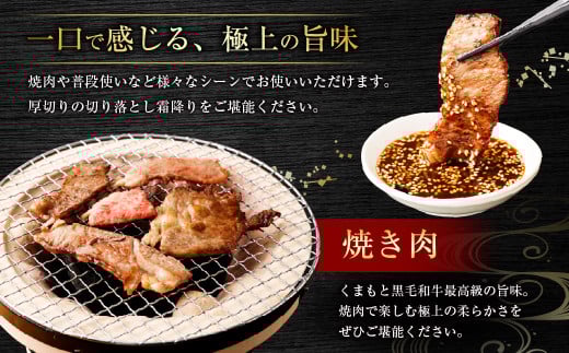 くまもと黒毛和牛 焼肉用 ロース・カルビ 切り落とし 500g