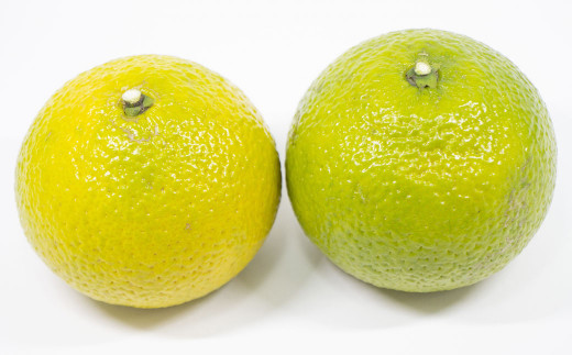 特別栽培 スイートスプリング 10kg