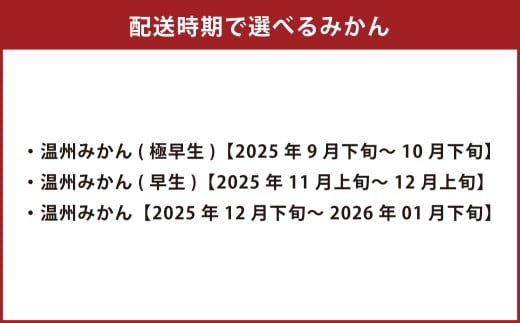 特別栽培みかん 10kg サイズミックス