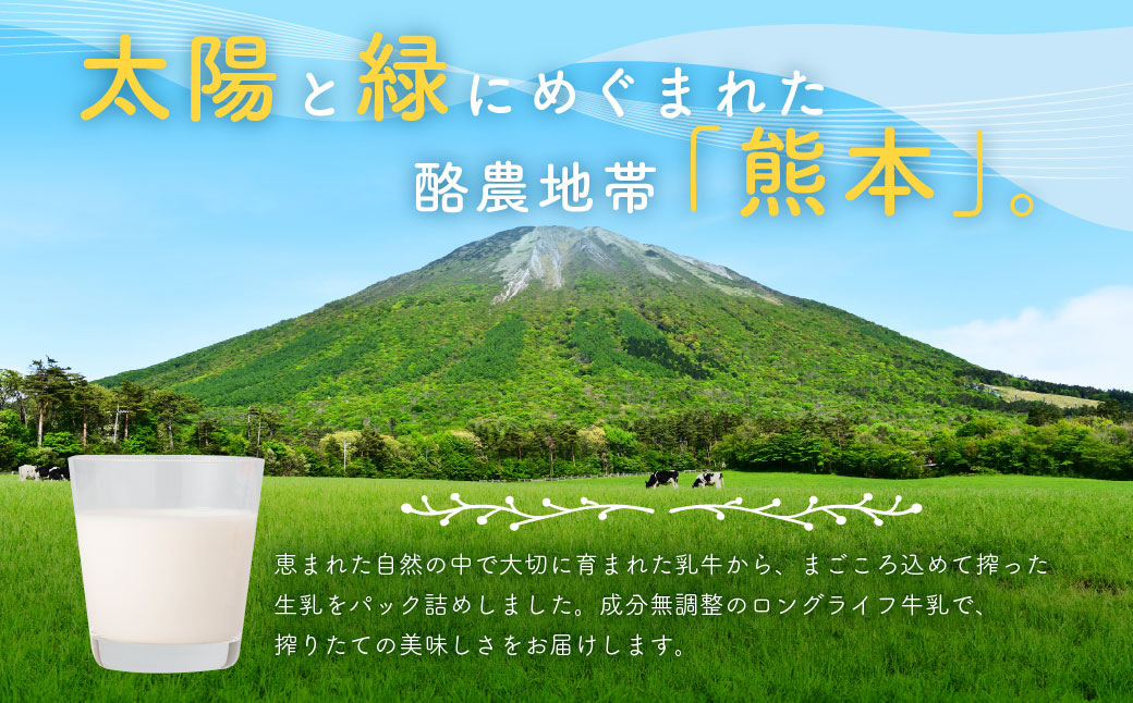 大阿蘇牛乳 250ml×24個入（1箱） 牛乳 ミルク 成分無調整 紙パック パック ロングライフ 長期保存 常温 熊本県 上天草市