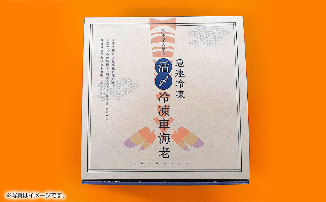 【2025年12月16日迄に入金確認で年内発送】天草産 活〆冷凍 車海老 250g（特大）6～7尾 車えび 車エビ えび 海老 エビ 冷凍 国産 熊本県 上天草市【2025年11月下旬発送開始】